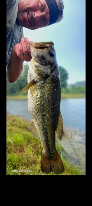 Photo of Bass Caught by Greg with Mepps Aglia & Dressed Aglia in South Carolina