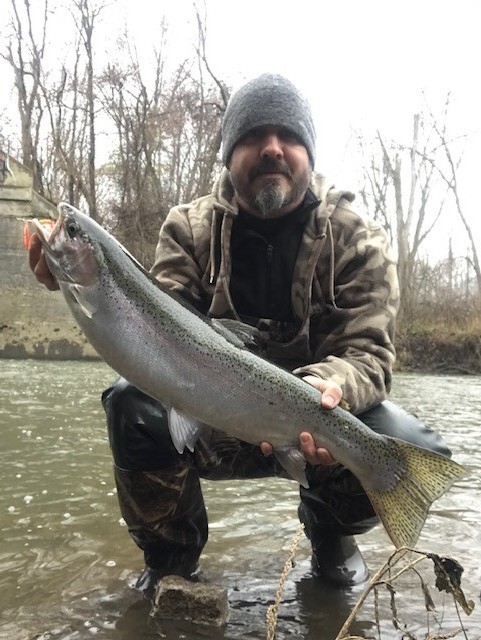 Photo of Steelhead Caught by BRIAN with Mepps Aglia & Dressed Aglia in Indiana