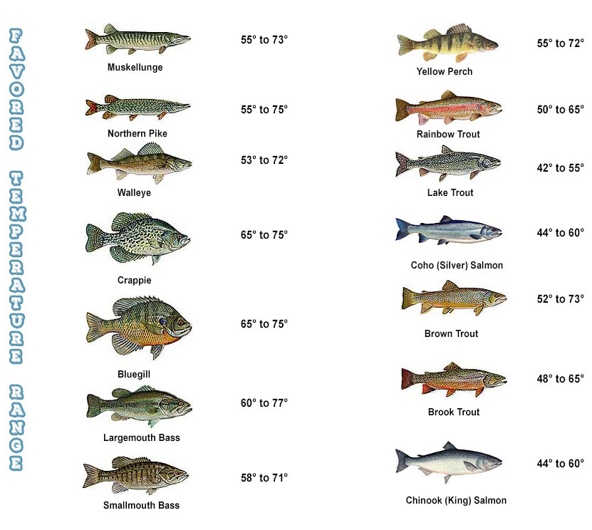 Saltwater Fish Temperature Chart