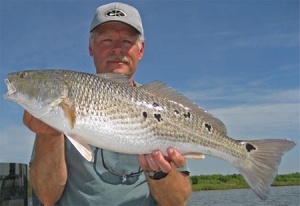 Fishing the Little Wolf for Redfish & Specks - Mepps Tactics