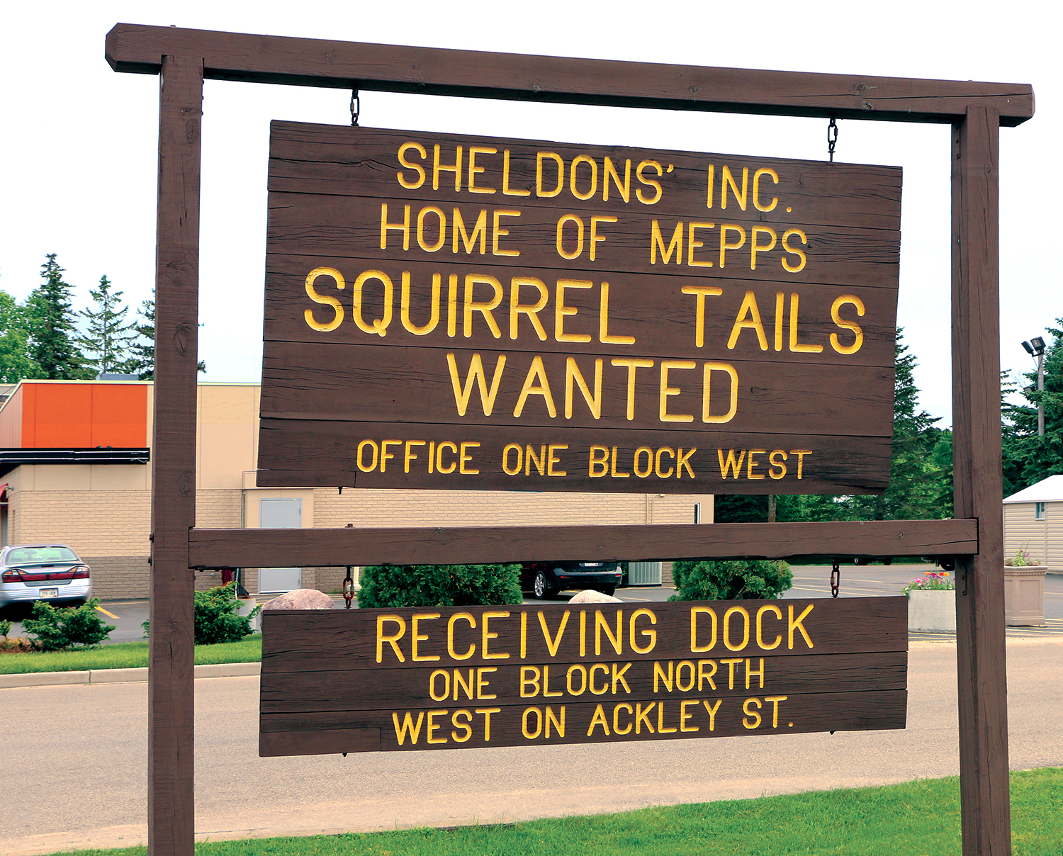 squirrel-tail-sign