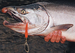 B323 5 Flying C Spinners Jaune & LAITON 20 g #3 leurres bass salmon truite de mer
