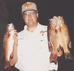 3 Small Mouth Bass