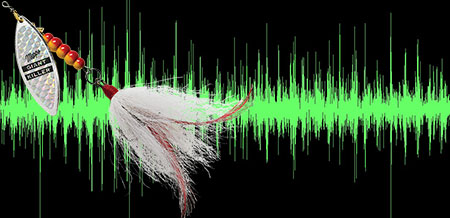 Waveforms of the sounds produced by the Giant Killer