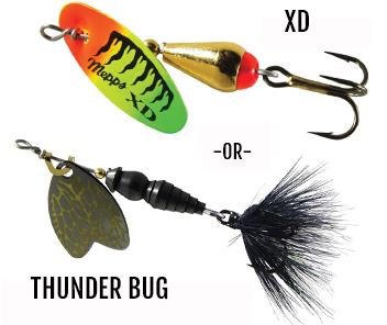 Thunder Bug or XD