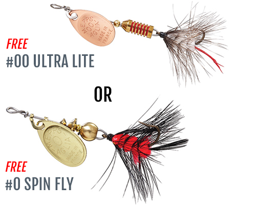 Ultra Lite or Spin Fly